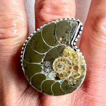 925 Past Life Recall AMMONITE Ring 9.75