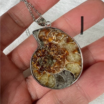 You choose! Past Life Recall Ammonite Fossil Pendant Necklace