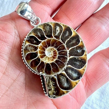 925 Past Lives AMMONITE Fossil Sacred Geometry Necklace Pendant