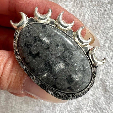 926 MASSIVE Moons! Petoskey Stone Fossil Coral Ring 8