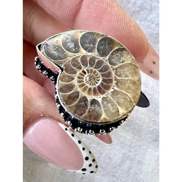 925 AMMONITE Fossil Past Lives Ring 7