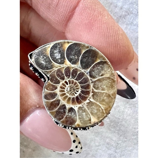 925 AMMONITE Fossil Past Lives Ring 7