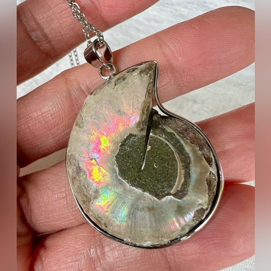 You choose! Past Life Recall Ammonite Fossil Pendant Necklace
