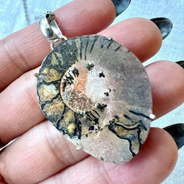 925 Past Life Recall AMMONITE Fossil Pendant Necklace