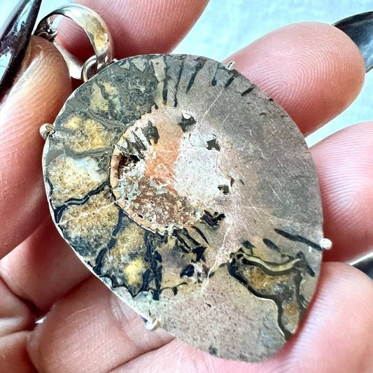 925 Past Life Recall AMMONITE Fossil Pendant Necklace