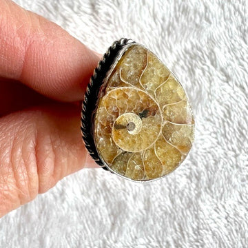 925 Past Life Recall Ammonite Ring 7
