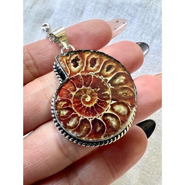 925 WOW WOW! Ammonite Fossil Past Lives Pendant Necklace