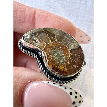 925 AMMONITE Fossil Past Lives Ring 7.5