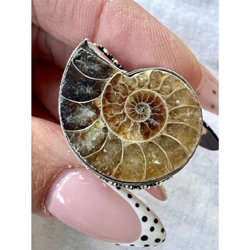 925 WOW wow! AMMONITE Fossil Past Lives Ring 6