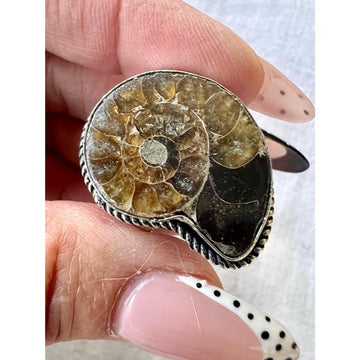 925 Ammonite Fossil Past Lives Ring 7.75