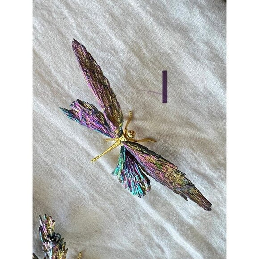 Titanium AURA Coated Black TOURMALINE Dragonfly!