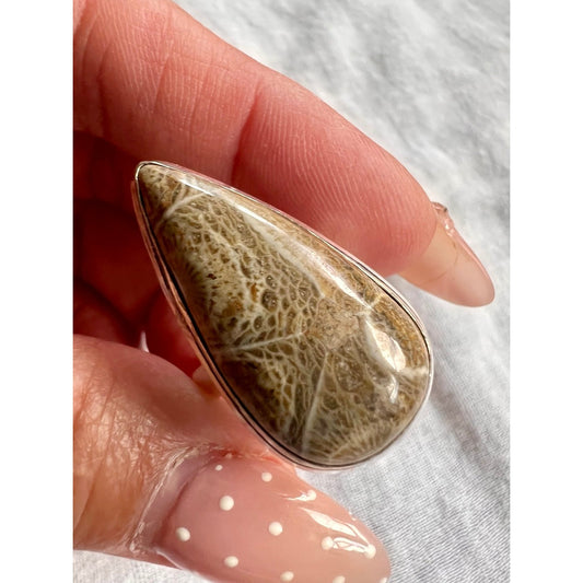 925 Inner Power Agatized Fossil Coral Ring 9.5