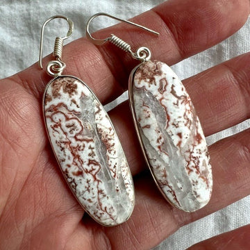 925 Quartz Vein in Crazy Lace Agate Earrings