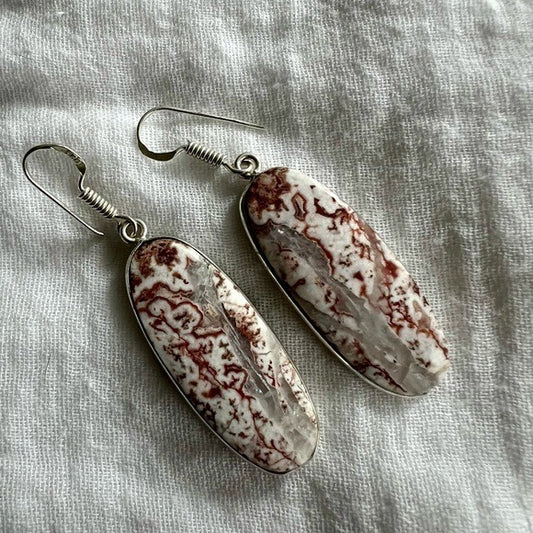 925 Quartz Vein in Crazy Lace Agate Earrings