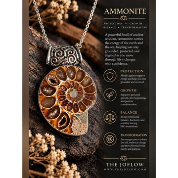 925 Past Lives Ancient AMMONITE FOSSIL Pendant Necklace