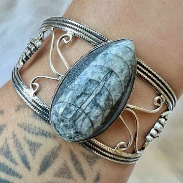 925 Past Lives Orthoceras FOSSIL Cuff Bracelet