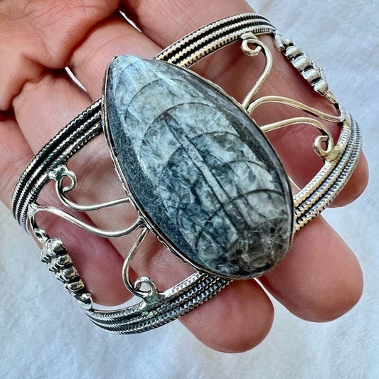 925 Past Lives Orthoceras FOSSIL Cuff Bracelet