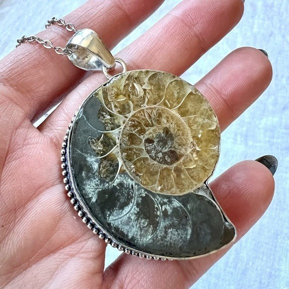 925 Past Life Recall AMMONITE Fossil Necklace Pendant