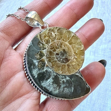925 Past Life Recall AMMONITE Fossil Necklace Pendant