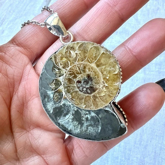 925 Past Life Recall AMMONITE Fossil Necklace Pendant