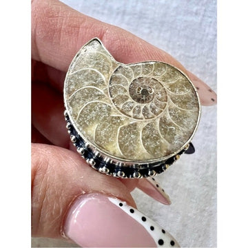 925 AMMONITE Fossil Past Lives Ring 9.5