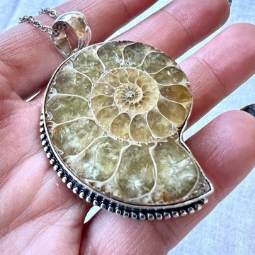 925 Past Life Recall AMMONITE Fossil Pendant Necklace