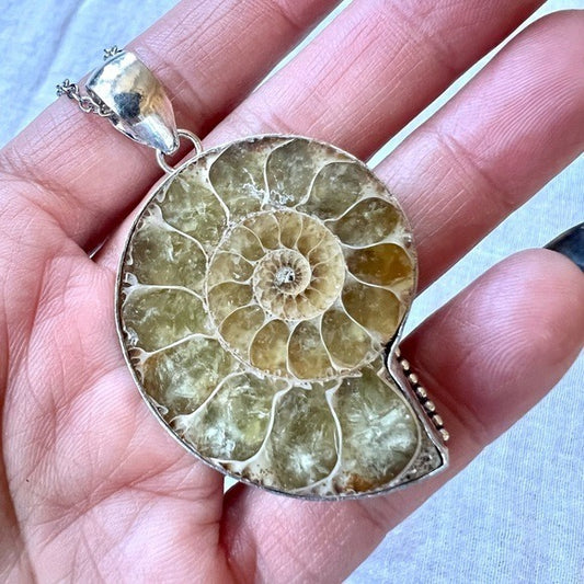 925 Past Life Recall AMMONITE Fossil Pendant Necklace