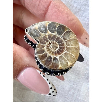 925 Past Lives AMMONITE Fossil Ring 7